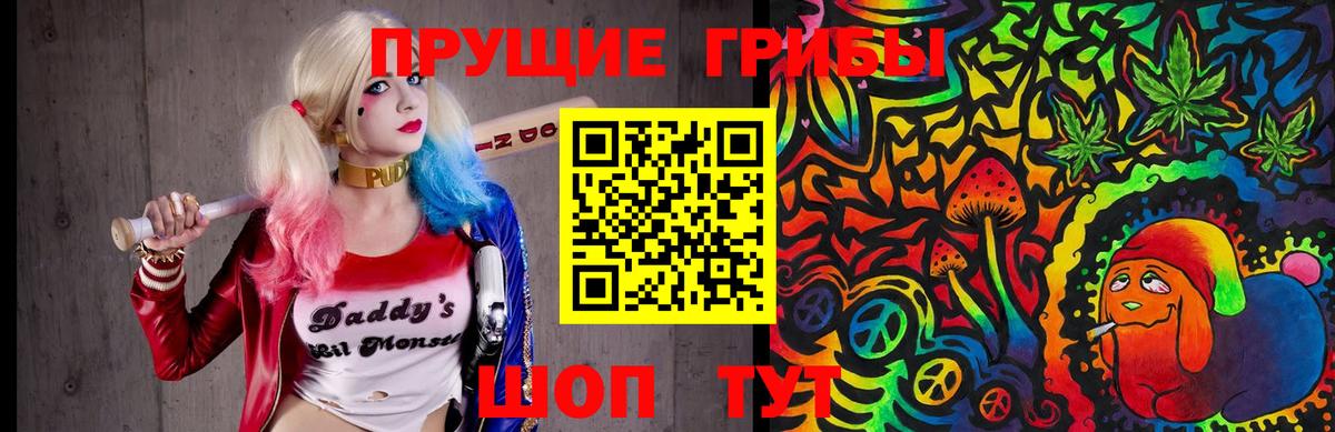 Псилоцибиновые грибы Psilocybine cubensis Михайловка